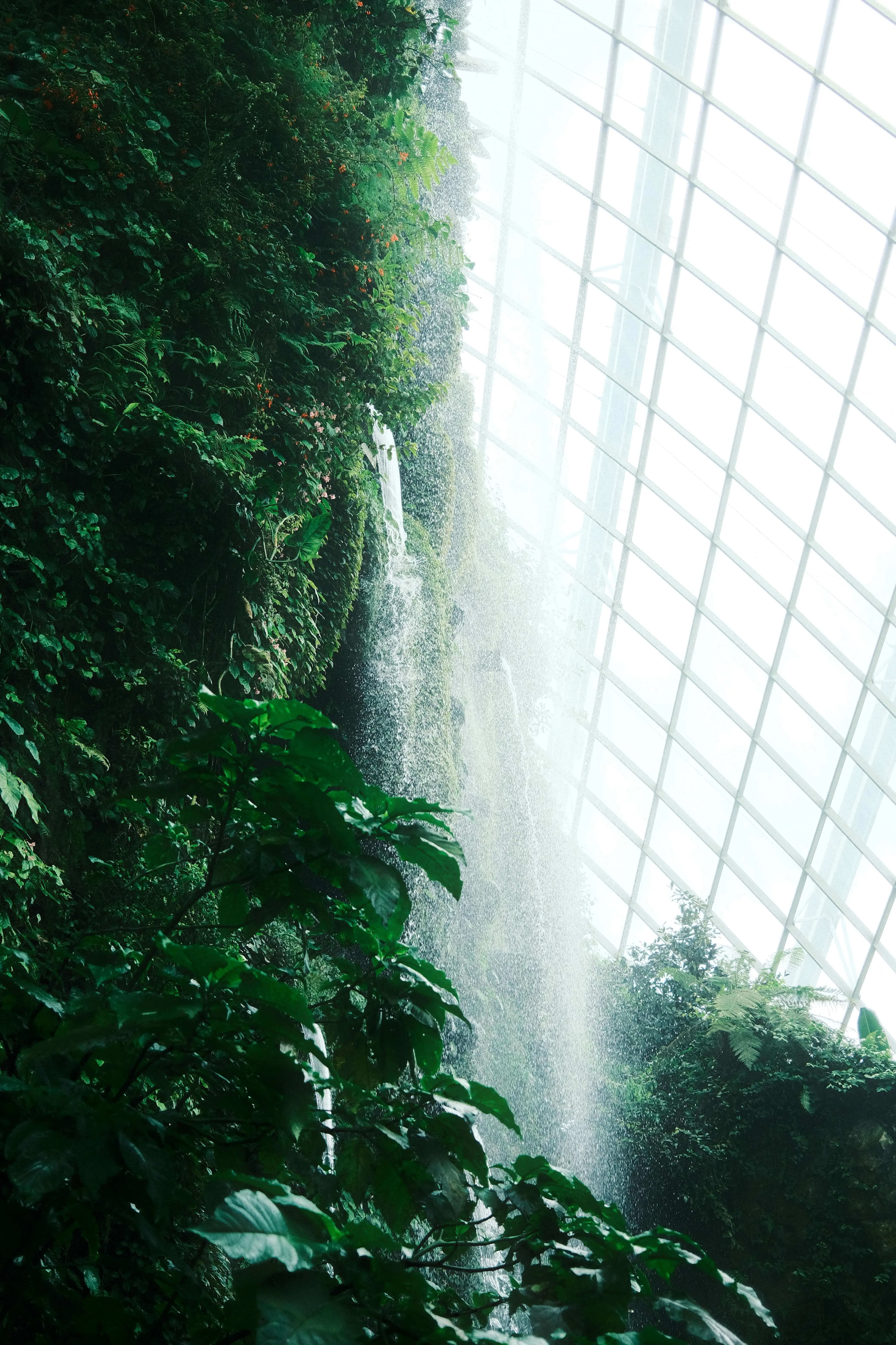 Indoor waterfall and tropical greenery at gardens by the bay singapore