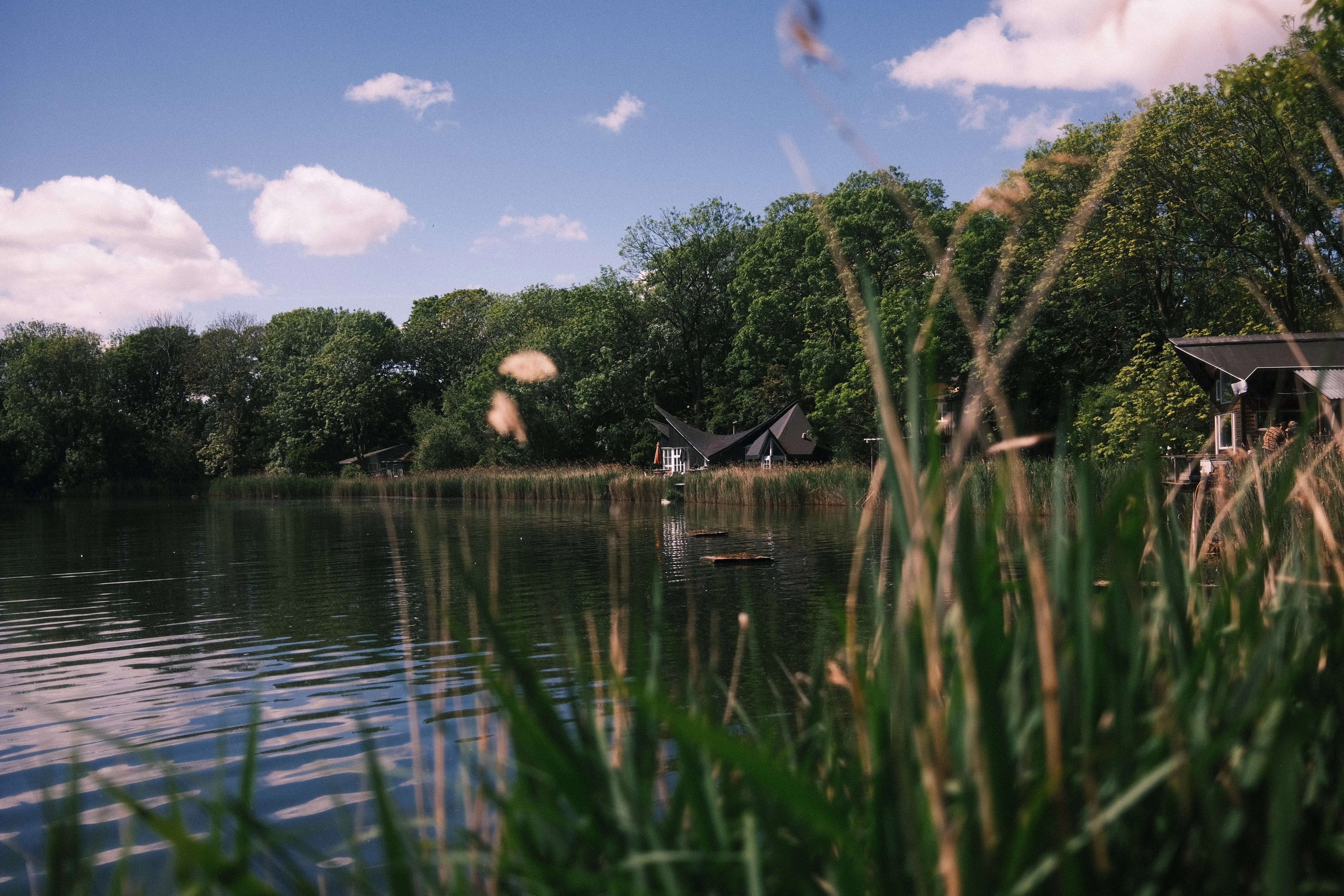Lakeside scene in copenhagen with reeds water and small wooden house
