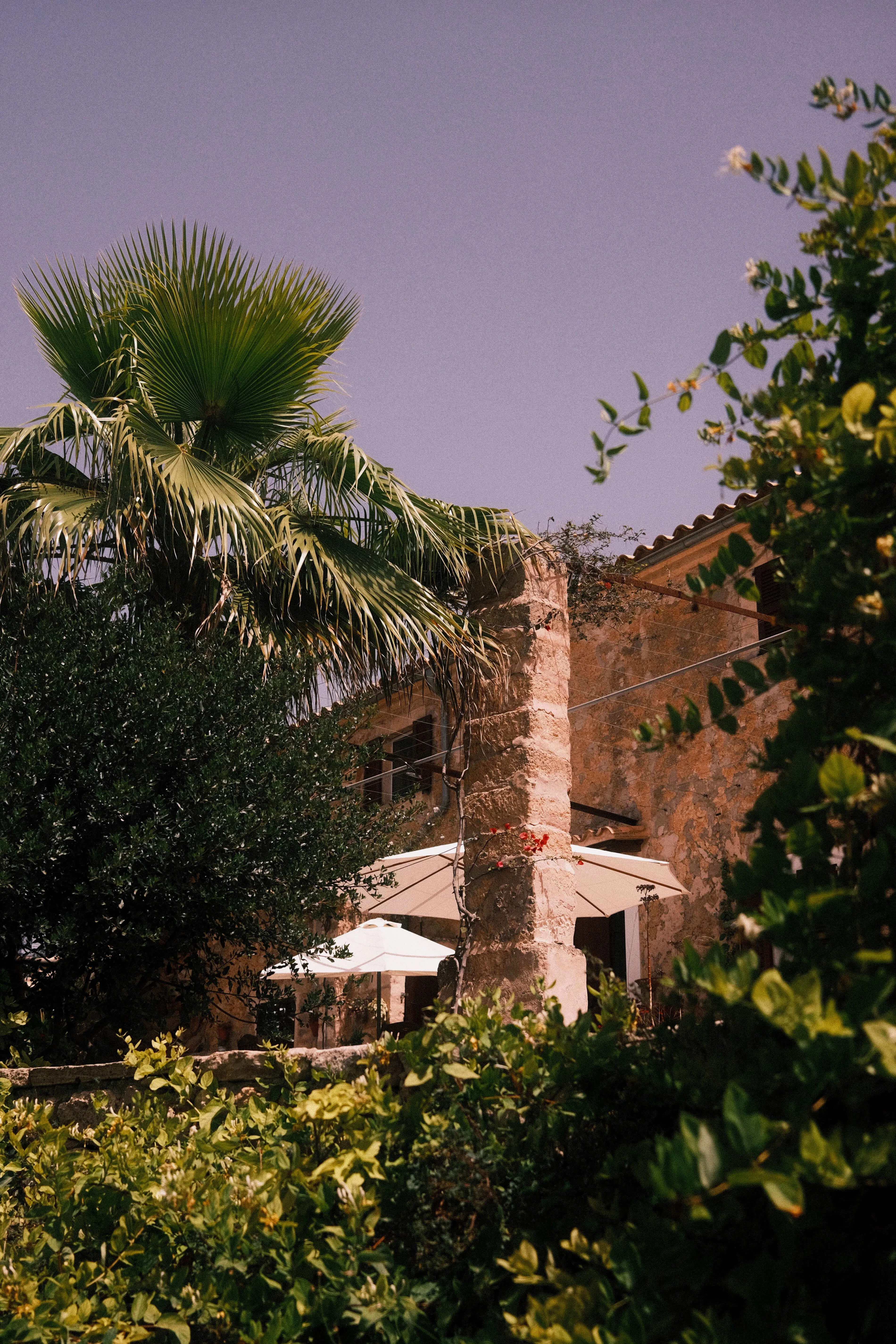Rustic mallorca finca with palm tree stone walls and garden